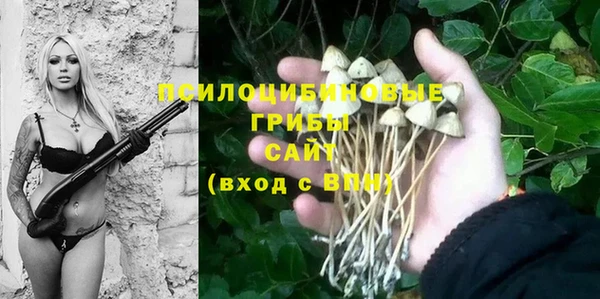 дурь Володарск