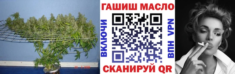 что такое   Осташков  ТГК Wax 