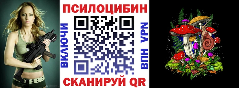 цены наркотик  кракен зеркало  Псилоцибиновые грибы Psilocybine cubensis  Осташков 
